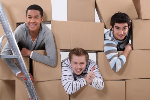 Professional packing supplies and organized moving boxes